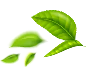 Heritage & Tradition